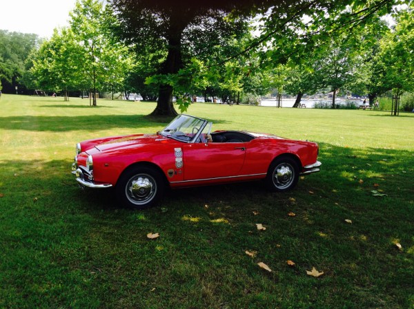 Raduno Alfa Sesto Calende_17904526094_l