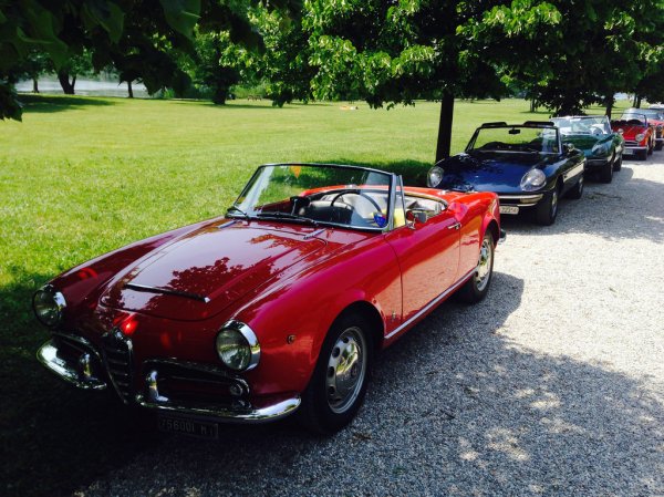 Raduno Alfa Sesto Calende_17906590883_l