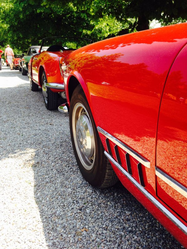 Raduno Alfa Sesto Calende_18339676928_l