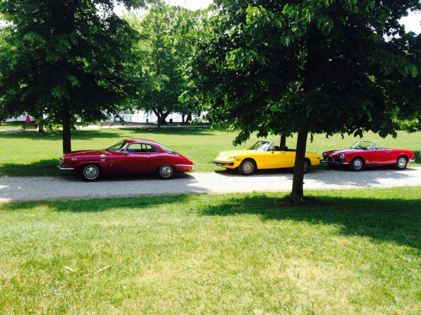 Raduno Alfa Sesto Calende_18341277439_l