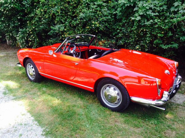 Raduno Alfa Sesto Calende_18341348229_l