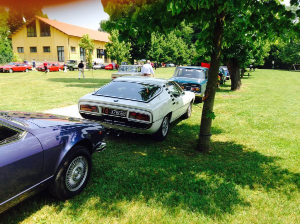 Raduno Alfa Sesto Calende_18500892706_l