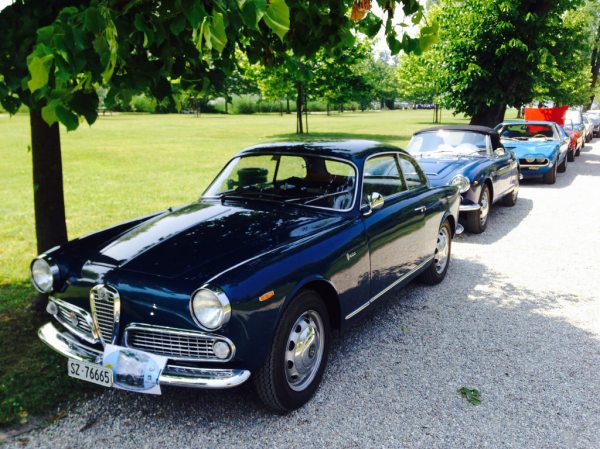 Raduno Alfa Sesto Calende_18501195146_l