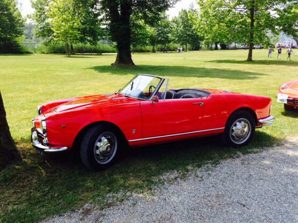 Raduno Alfa Sesto Calende_18529175961_l