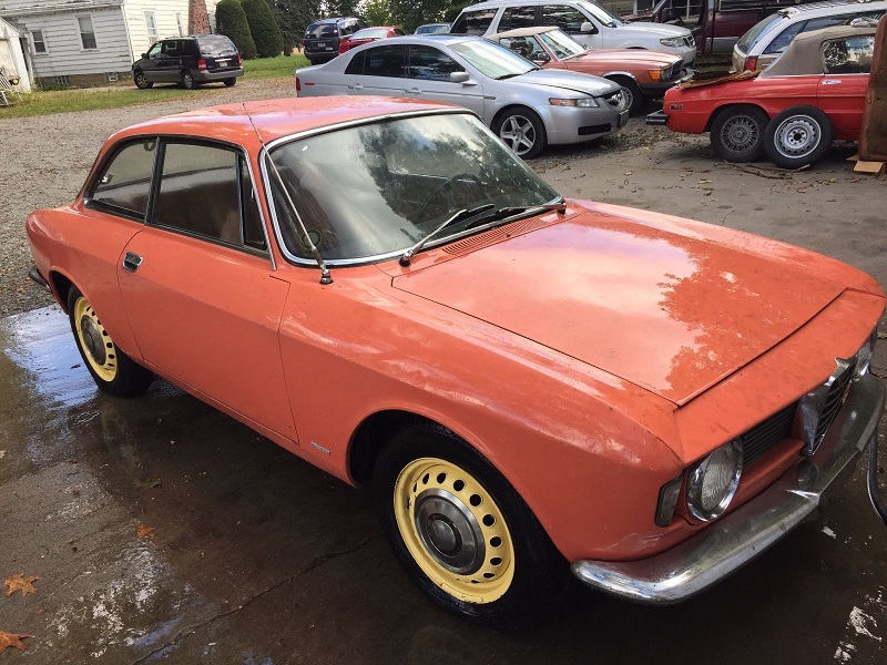 Spoiled salmon: 1965 Alfa Romeo Giulia Sprint GT – Classic Virus